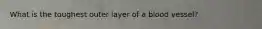What is the toughest outer layer of a blood vessel?