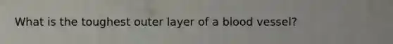 What is the toughest outer layer of a blood vessel?