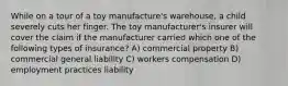 While on a tour of a toy manufacture's warehouse, a child severely cuts her finger. The toy manufacturer's insurer will cover the claim if the manufacturer carried which one of the following types of insurance? A) commercial property B) commercial general liability C) workers compensation D) employment practices liability