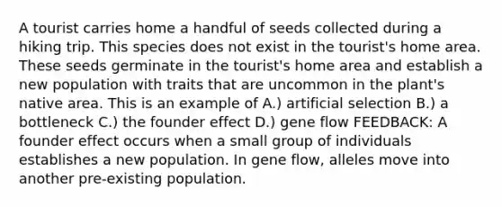 A tourist carries home a handful of seeds collected during a hiking trip. This species does not exist in the tourist's home area. These seeds germinate in the tourist's home area and establish a new population with traits that are uncommon in the plant's native area. This is an example of A.) artificial selection B.) a bottleneck C.) the founder effect D.) gene flow FEEDBACK: A founder effect occurs when a small group of individuals establishes a new population. In gene flow, alleles move into another pre-existing population.