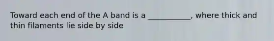 Toward each end of the A band is a ___________, where thick and thin filaments lie side by side