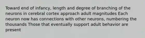 Toward end of infancy, length and degree of branching of the neurons in cerebral cortex approach adult magnitudes Each neuron now has connections with other neurons, numbering the thousands Those that eventually support adult behavior are present