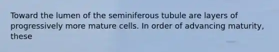 Toward the lumen of the seminiferous tubule are layers of progressively more mature cells. In order of advancing maturity, these