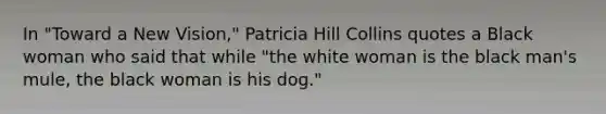 In "Toward a New Vision," Patricia Hill Collins quotes a Black woman who said that while "the white woman is the black man's mule, the black woman is his dog."