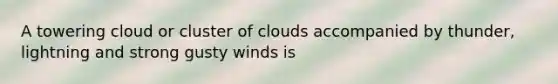 A towering cloud or cluster of clouds accompanied by thunder, lightning and strong gusty winds is