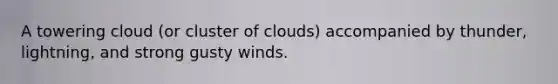 A towering cloud (or cluster of clouds) accompanied by thunder, lightning, and strong gusty winds.