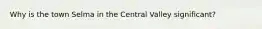 Why is the town Selma in the Central Valley significant?