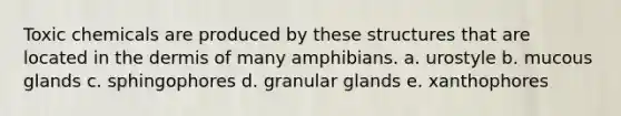 Toxic chemicals are produced by these structures that are located in the dermis of many amphibians. a. urostyle b. mucous glands c. sphingophores d. granular glands e. xanthophores