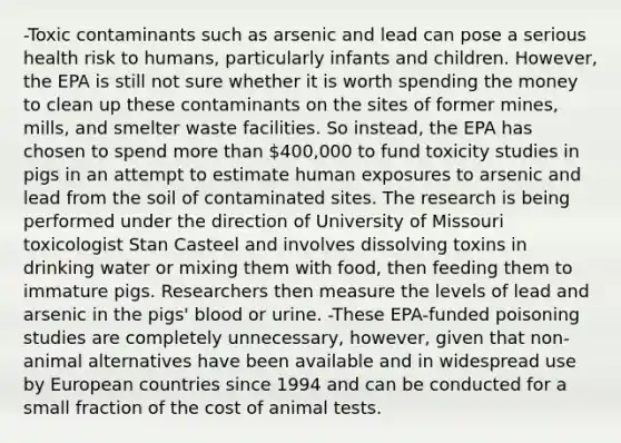 -Toxic contaminants such as arsenic and lead can pose a serious health risk to humans, particularly infants and children. However, the EPA is still not sure whether it is worth spending the money to clean up these contaminants on the sites of former mines, mills, and smelter waste facilities. So instead, the EPA has chosen to spend more than 400,000 to fund toxicity studies in pigs in an attempt to estimate human exposures to arsenic and lead from the soil of contaminated sites. The research is being performed under the direction of University of Missouri toxicologist Stan Casteel and involves dissolving toxins in drinking water or mixing them with food, then feeding them to immature pigs. Researchers then measure the levels of lead and arsenic in the pigs' blood or urine. -These EPA-funded poisoning studies are completely unnecessary, however, given that non-animal alternatives have been available and in widespread use by European countries since 1994 and can be conducted for a small fraction of the cost of animal tests.