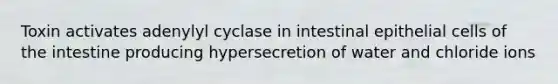Toxin activates adenylyl cyclase in intestinal epithelial cells of the intestine producing hypersecretion of water and chloride ions