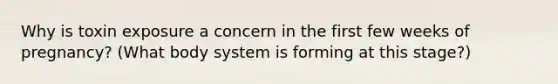 Why is toxin exposure a concern in the first few weeks of pregnancy? (What body system is forming at this stage?)