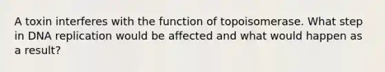 A toxin interferes with the function of topoisomerase. What step in DNA replication would be affected and what would happen as a result?