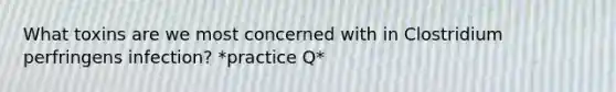 What toxins are we most concerned with in Clostridium perfringens infection? *practice Q*