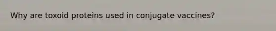 Why are toxoid proteins used in conjugate vaccines?