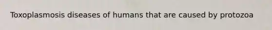 Toxoplasmosis diseases of humans that are caused by protozoa