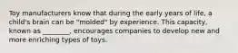 Toy manufacturers know that during the early years of life, a child's brain can be "molded" by experience. This capacity, known as ________, encourages companies to develop new and more enriching types of toys.