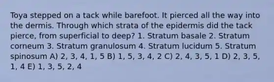 Toya stepped on a tack while barefoot. It pierced all the way into the dermis. Through which strata of the epidermis did the tack pierce, from superficial to deep? 1. Stratum basale 2. Stratum corneum 3. Stratum granulosum 4. Stratum lucidum 5. Stratum spinosum A) 2, 3, 4, 1, 5 B) 1, 5, 3, 4, 2 C) 2, 4, 3, 5, 1 D) 2, 3, 5, 1, 4 E) 1, 3, 5, 2, 4