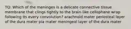 TQ: Which of the meninges is a delicate connective tissue membrane that clings tightly to the brain like cellophane wrap following its every convolution? arachnoid mater periosteal layer of the dura mater pia mater meningeal layer of the dura mater