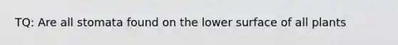 TQ: Are all stomata found on the lower surface of all plants