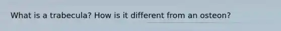 What is a trabecula? How is it different from an osteon?