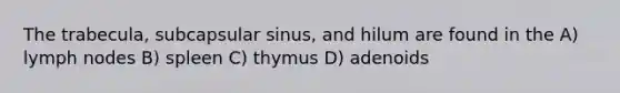 The trabecula, subcapsular sinus, and hilum are found in the A) lymph nodes B) spleen C) thymus D) adenoids