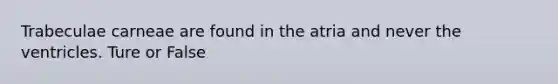 Trabeculae carneae are found in the atria and never the ventricles. Ture or False