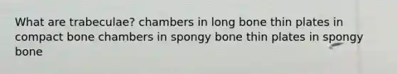 What are trabeculae? chambers in long bone thin plates in compact bone chambers in spongy bone thin plates in spongy bone