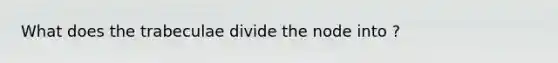 What does the trabeculae divide the node into ?