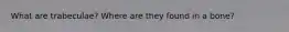 What are trabeculae? Where are they found in a bone?