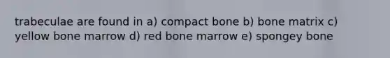 trabeculae are found in a) compact bone b) bone matrix c) yellow bone marrow d) red bone marrow e) spongey bone