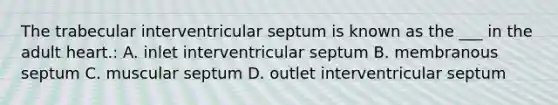 The trabecular interventricular septum is known as the ___ in the adult heart.: A. inlet interventricular septum B. membranous septum C. muscular septum D. outlet interventricular septum