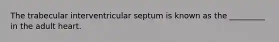 The trabecular interventricular septum is known as the _________ in the adult heart.