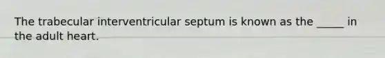 The trabecular interventricular septum is known as the _____ in the adult heart.