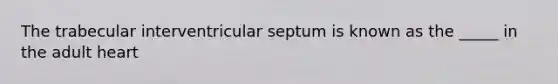 The trabecular interventricular septum is known as the _____ in the adult heart