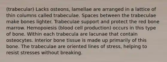 (trabecular) Lacks osteons, lamellae are arranged in a lattice of thin columns called trabeculae. Spaces between the trabeculae make bones lighter. Trabeculae support and protect the red bone marrow. Hemopoiesis (blood cell production) occurs in this type of bone. Within each trabecula are lacunae that contain osteocytes. Interior bone tissue is made up primarily of this bone. The trabeculae are oriented lines of stress, helping to resist stresses without breaking.