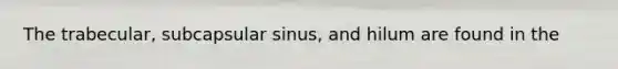 The trabecular, subcapsular sinus, and hilum are found in the