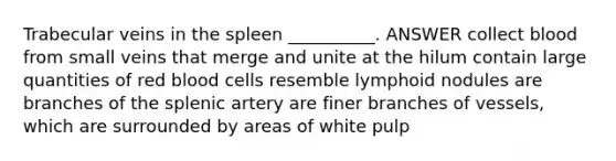 Trabecular veins in the spleen __________. ANSWER collect blood from small veins that merge and unite at the hilum contain large quantities of red blood cells resemble lymphoid nodules are branches of the splenic artery are finer branches of vessels, which are surrounded by areas of white pulp