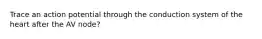 Trace an action potential through the conduction system of the heart after the AV node?