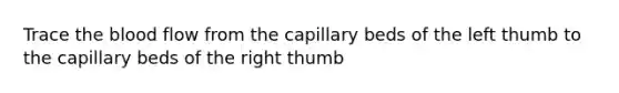 Trace <a href='https://www.questionai.com/knowledge/k7oXMfj7lk-the-blood' class='anchor-knowledge'>the blood</a> flow from the capillary beds of the left thumb to the capillary beds of the right thumb