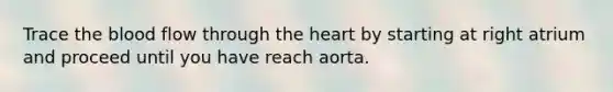 Trace the blood flow through the heart by starting at right atrium and proceed until you have reach aorta.