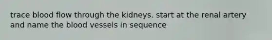 trace blood flow through the kidneys. start at the renal artery and name <a href='https://www.questionai.com/knowledge/k7oXMfj7lk-the-blood' class='anchor-knowledge'>the blood</a> vessels in sequence