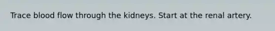 Trace blood flow through the kidneys. Start at the renal artery.