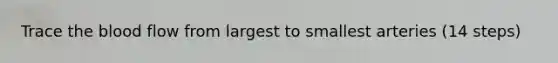Trace <a href='https://www.questionai.com/knowledge/k7oXMfj7lk-the-blood' class='anchor-knowledge'>the blood</a> flow from largest to smallest arteries (14 steps)