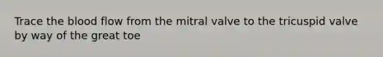 Trace the blood flow from the mitral valve to the tricuspid valve by way of the great toe