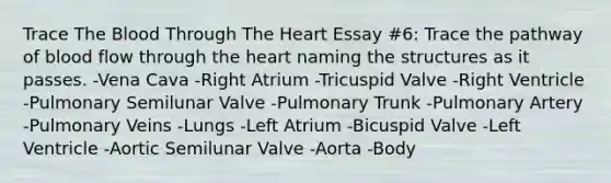 Trace The Blood Through The Heart Essay #6: Trace the pathway of blood flow through the heart naming the structures as it passes. -Vena Cava -Right Atrium -Tricuspid Valve -Right Ventricle -Pulmonary Semilunar Valve -Pulmonary Trunk -Pulmonary Artery -Pulmonary Veins -Lungs -Left Atrium -Bicuspid Valve -Left Ventricle -Aortic Semilunar Valve -Aorta -Body