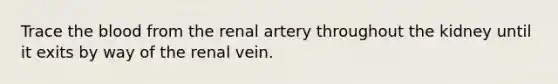 Trace the blood from the renal artery throughout the kidney until it exits by way of the renal vein.