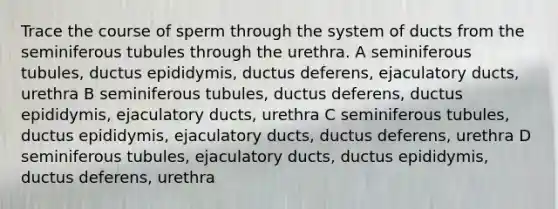 Trace the course of sperm through the system of ducts from the seminiferous tubules through the urethra. A seminiferous tubules, ductus epididymis, ductus deferens, ejaculatory ducts, urethra B seminiferous tubules, ductus deferens, ductus epididymis, ejaculatory ducts, urethra C seminiferous tubules, ductus epididymis, ejaculatory ducts, ductus deferens, urethra D seminiferous tubules, ejaculatory ducts, ductus epididymis, ductus deferens, urethra