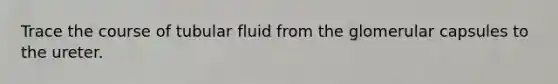 Trace the course of tubular fluid from the glomerular capsules to the ureter.