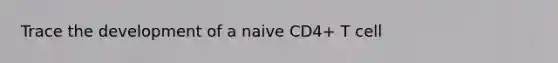 Trace the development of a naive CD4+ T cell