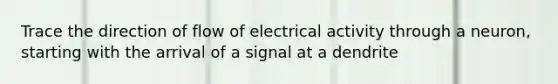 Trace the direction of flow of electrical activity through a neuron, starting with the arrival of a signal at a dendrite